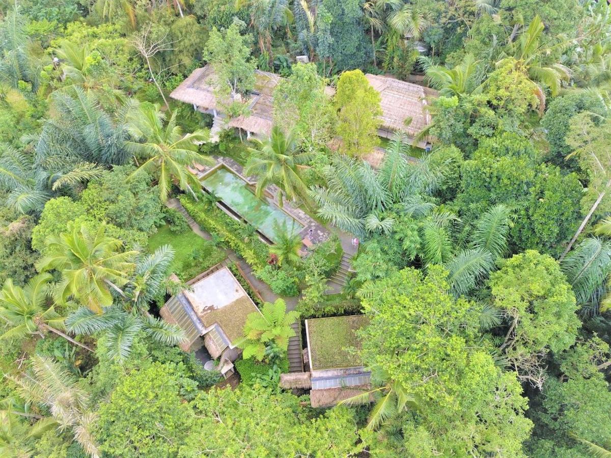 Villa Rimba Ubud Tegallalang  Dış mekan fotoğraf