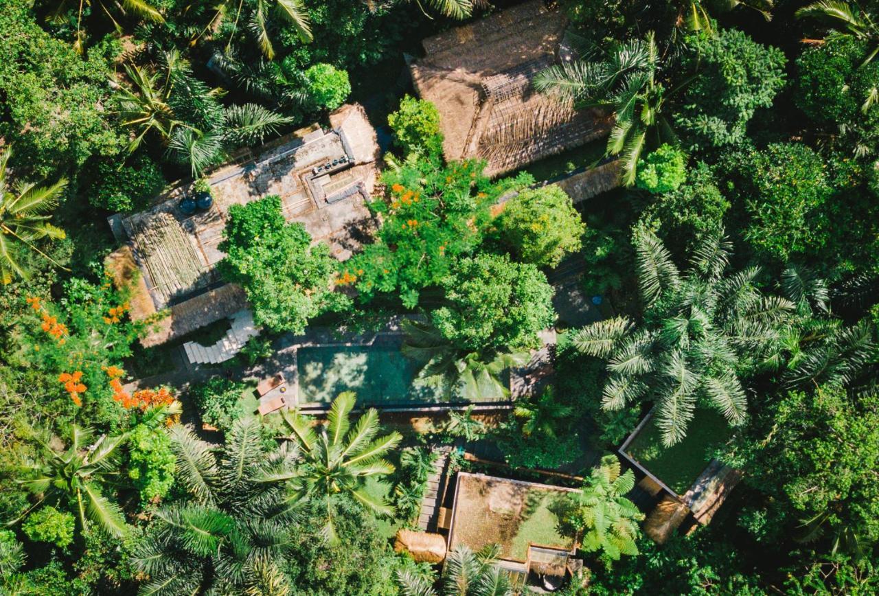 Villa Rimba Ubud Tegallalang  Dış mekan fotoğraf