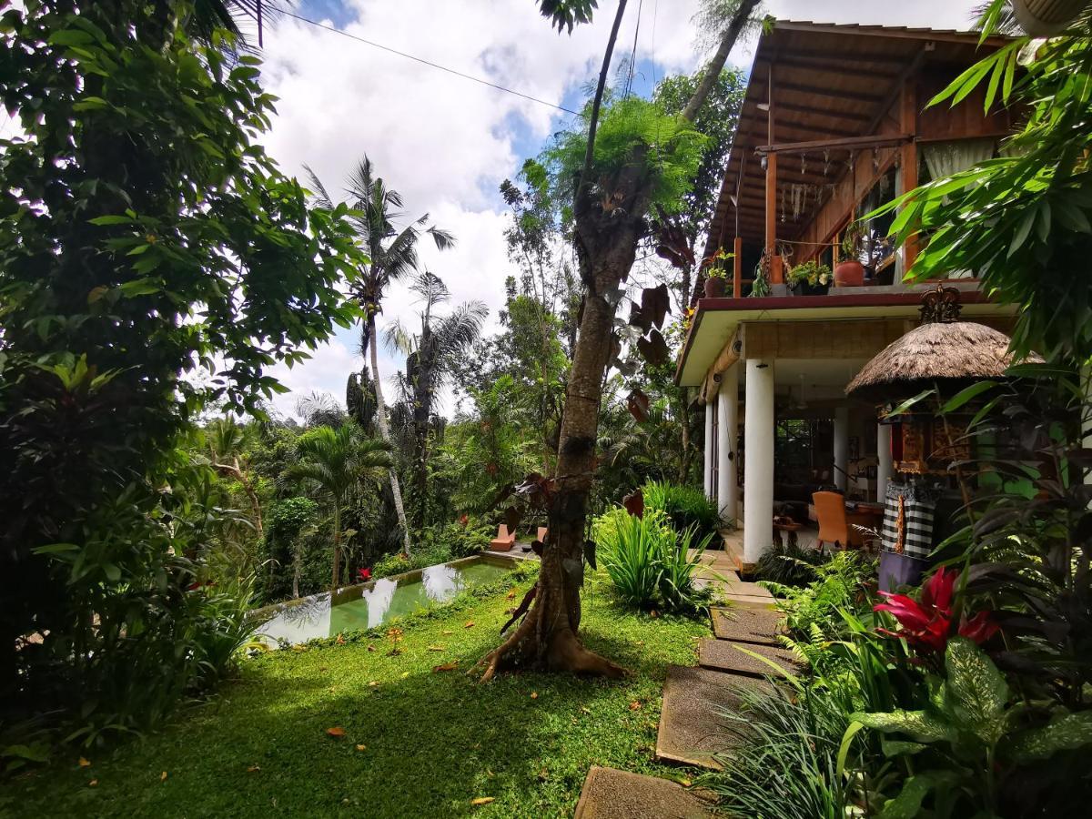 Villa Rimba Ubud Tegallalang  Dış mekan fotoğraf