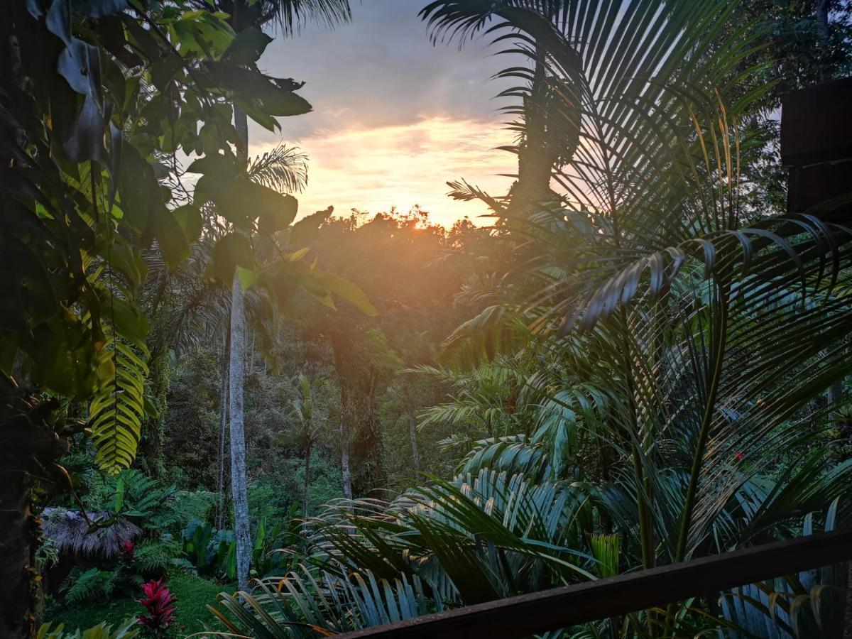 Villa Rimba Ubud Tegallalang  Dış mekan fotoğraf