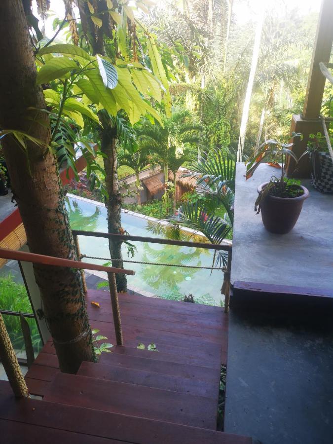 Villa Rimba Ubud Tegallalang  Dış mekan fotoğraf