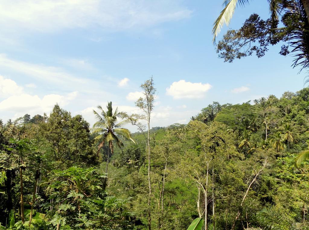Villa Rimba Ubud Tegallalang  Dış mekan fotoğraf